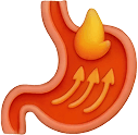 Acid Reflux / LPR